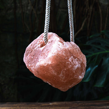Himalayan Salt Lick Block for Animals | 2-3kg Natural Salt Block with Rope